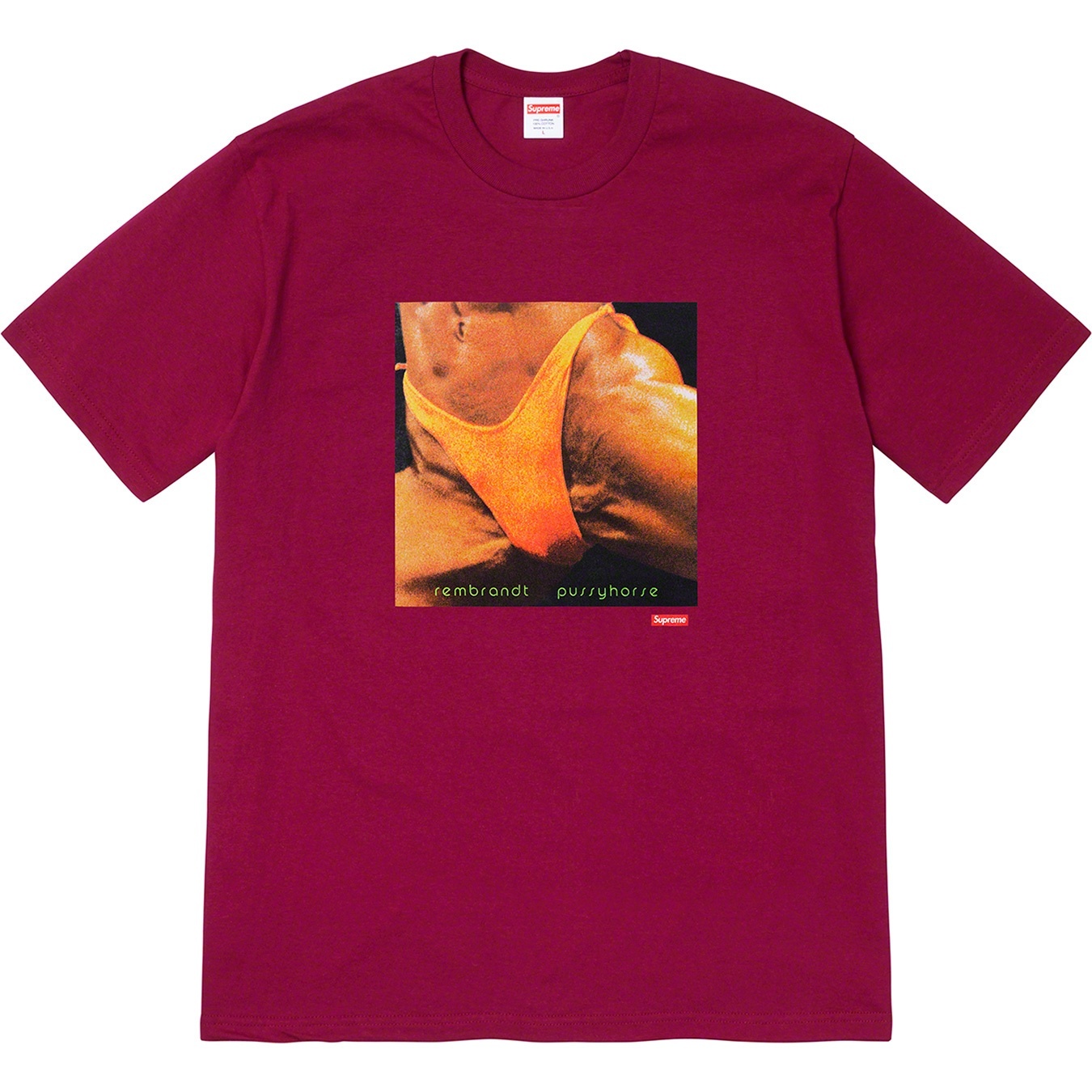 Supreme/Butthole SurfersRembrandt Pussyhorse Tee view 3